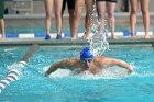 Swimming vs Babson  Wheaton College Swimming vs Babson College. - Photo By: KEITH NORDSTROM : Wheaton, Swimming, Babson